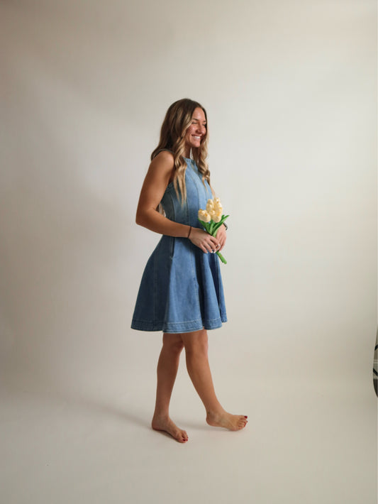 West Denim Dress