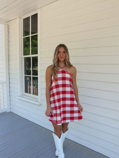 Americana Muse Mini Dress